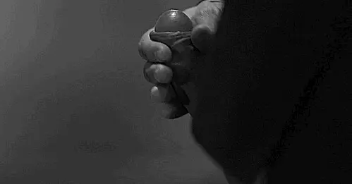 הקוקהולד הצופה